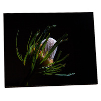 Chromaluxe 4825 Textured MDF 8" x 8" Photo Panel