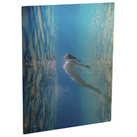 ChromaLuxe Gloss Clear Aluminium 49" x 48.5" (1244,6 mm x 1231,9 mm)