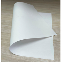 IColor T. Seal Finishing Sheet (Lasts Up To 500 Presses) A3