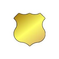 S9 Dynasub Gold 40mm x 38mm Trophy Shield Pk 100